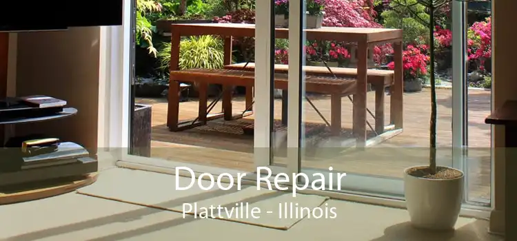 Door Repair Plattville - Illinois