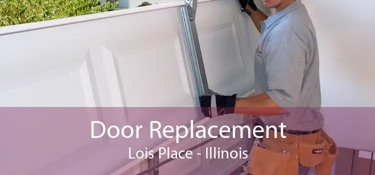 Door Replacement Lois Place - Illinois