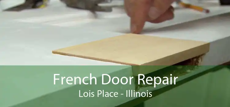 French Door Repair Lois Place - Illinois