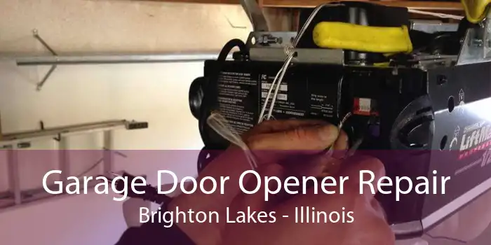 Garage Door Opener Repair Brighton Lakes - Illinois