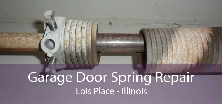 Garage Door Spring Repair Lois Place - Illinois