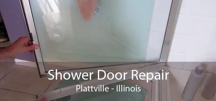 Shower Door Repair Plattville - Illinois