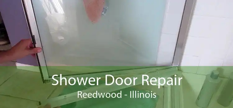 Shower Door Repair Reedwood - Illinois