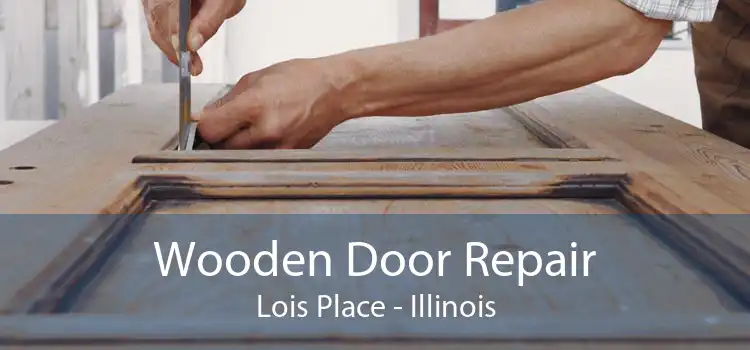 Wooden Door Repair Lois Place - Illinois